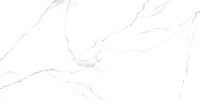 Керамогранит Alma Ceramica Carrara GFU60120CRR00R матовый 60x120