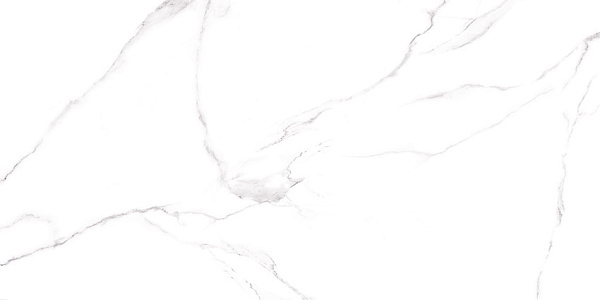Керамогранит Alma Ceramica Carrara GFU60120CRR00R матовый 60x120