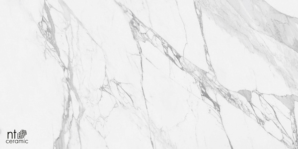 Керамогранит NT Ceramic Marmo Artic statuario  glossy 60x120