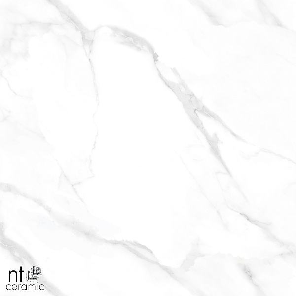 Керамогранит NT Ceramic Marmo Statuario Endless matt 60x60