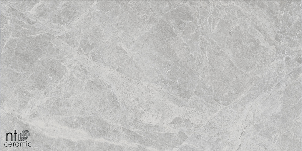 Керамогранит NT Ceramic Bright and Shiny Tundra Pearl matt 60x120