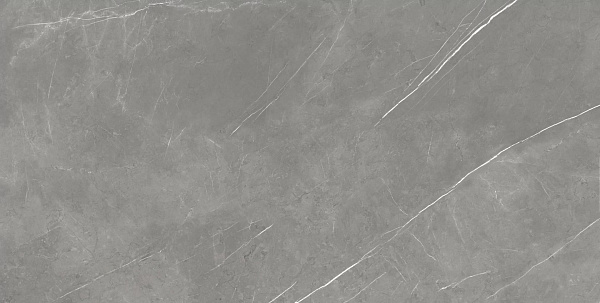 Керамогранит Atlas Concorde Forte Dei Marmi Elegant Grey matt 80x160