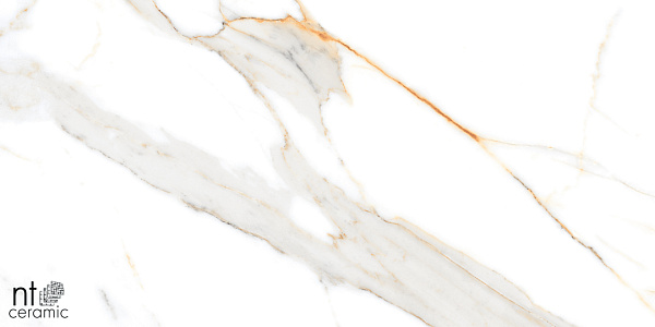 Керамогранит NT Ceramic Marmo Miami Natural 60x120