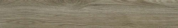 Керамогранит NT Ceramic Wood Forest matt 20x120