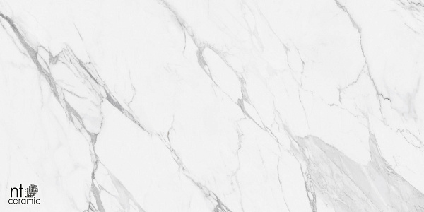Керамогранит NT Ceramic Marmo Artic statuario  glossy 60x120