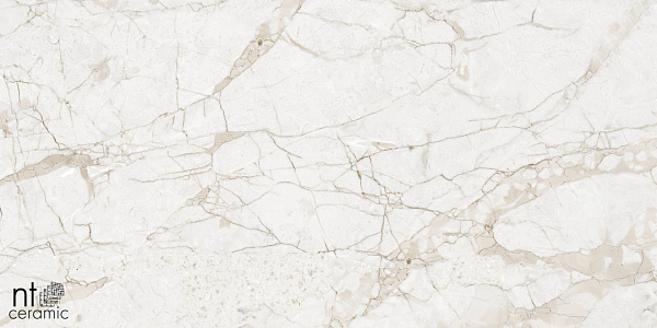 Керамогранит NT Ceramic Marmo Impero Grey carving 60x120