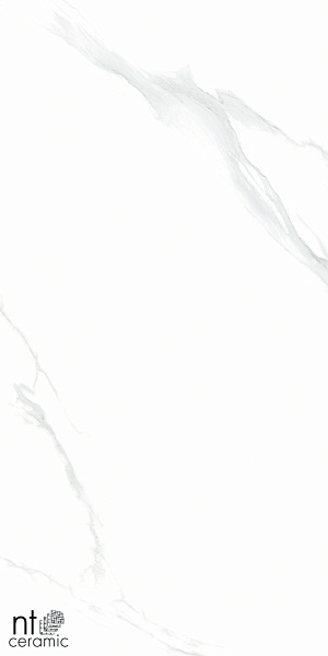 Керамогранит NT Ceramic Bright and Shiny Statuario 60x120