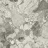 Керамогранит Atlas Concorde Forte Dei Marmi Ceppo Apuano Pearl matt 80x80