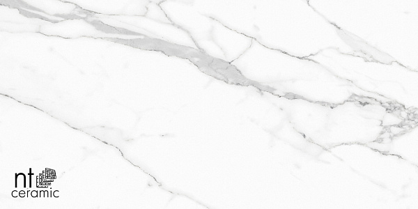 Керамогранит NT Ceramic Infinity Statuario 60x120