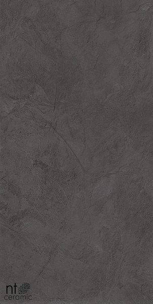 Керамогранит NT Ceramic Granite Obelisk Gris 60x120