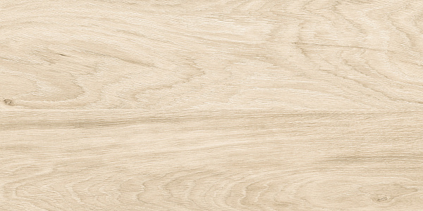 Керамогранит Alma Ceramica Brentwood GFA3060BWD04R матовый 30x60