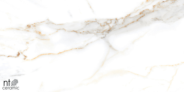 Керамогранит NT Ceramic Marmo Miami Natural 60x120