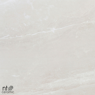Керамогранит NT Ceramic Zeus NTT9702 60x120