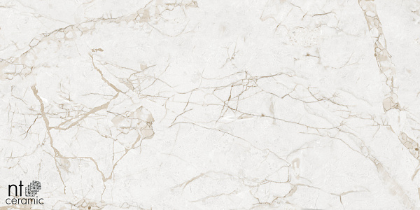 Керамогранит NT Ceramic Marmo Impero Grey carving 60x120