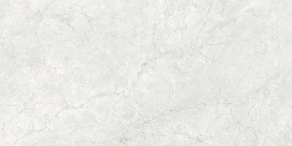 Керамогранит Artkera Group Armonia white / Армония белый 60x120