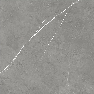 Керамогранит Atlas Concorde Forte Dei Marmi Elegant Grey matt 120x120