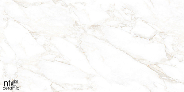 Керамогранит NT Ceramic Marmo Marble Extra Endless 60x120