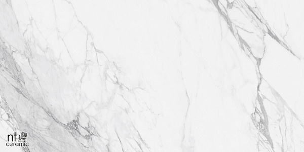 Керамогранит NT Ceramic Marmo Artic statuario carving 60x120