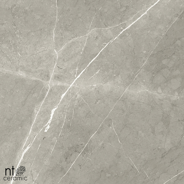 Керамогранит NT Ceramic Bright and Shiny NTT9102 60x60