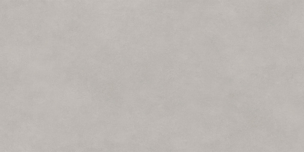Керамогранит Delacora Life Cement Gray матовый 60x120