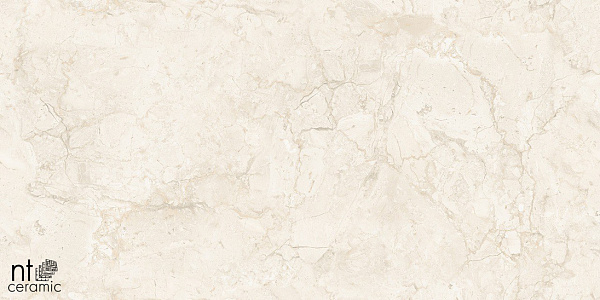Керамогранит NT Ceramic Gravel Stone Almond Endless 60x120
