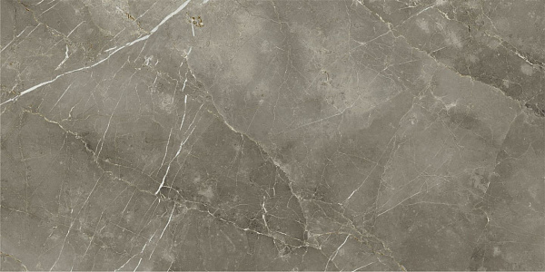 Керамогранит Italon Stellaris Tuscania Grey натуральный 80x160