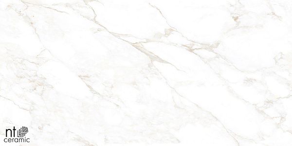 Керамогранит NT Ceramic Marmo Marble Extra Endless 60x120