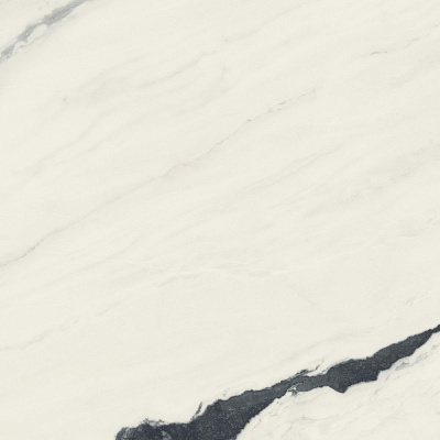 Керамогранит Atlas Concorde Forte Dei Marmi Panda White matt  120x120