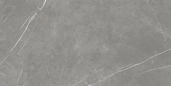 Керамогранит Atlas Concorde Forte Dei Marmi Elegant Grey matt 80x160