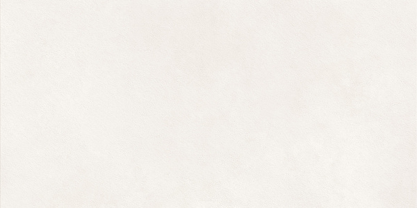 Керамогранит LCM Nevel White / Невел белый матовый 60x120
