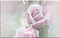 Розовый Свет-1 декор 09-03-41-356-0