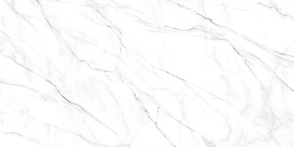 Керамогранит Alma Ceramica Neo Calacatta GFU60120NCL07R матовый 60x120