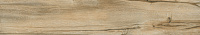 Керамогранит Staro Sherwood Walnut 20x120 Carving
