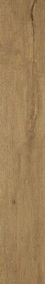 Керамогранит Fap Ceramiche Roots 20x120 Gold Matt R9