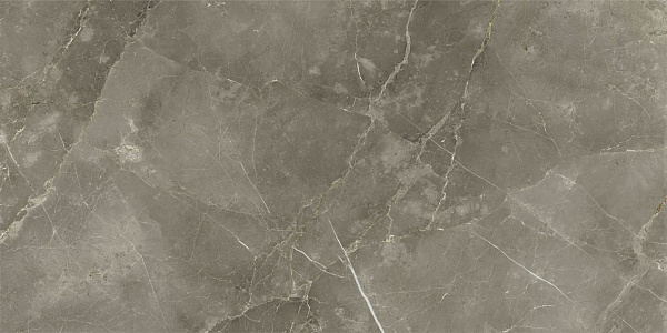 Керамогранит Italon Stellaris Tuscania Grey люкс 80x160