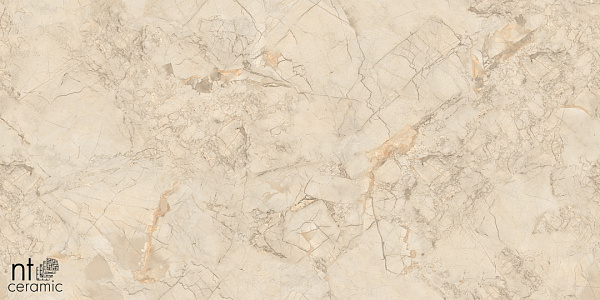 Керамогранит NT Ceramic Marmo Ivory Endless 60x60
