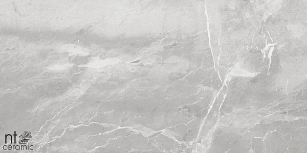 Керамогранит NT Ceramic Quarta Grey Slate Grey 60x120