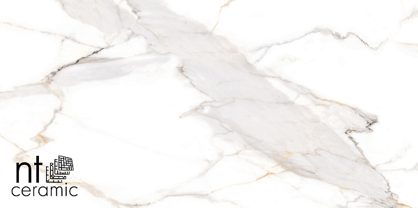 Керамогранит NT Ceramic Bright and Shiny Calacatta Light Grey matt 60x120