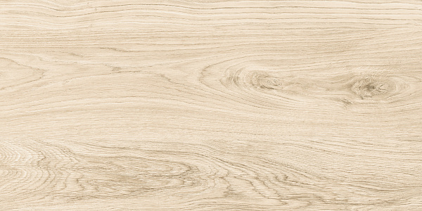 Керамогранит Alma Ceramica Brentwood GFA3060BWD04R матовый 30x60