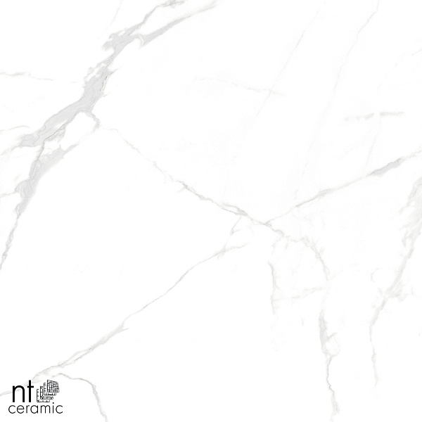 Керамогранит NT Ceramic Marmo Callacata carving 60x60