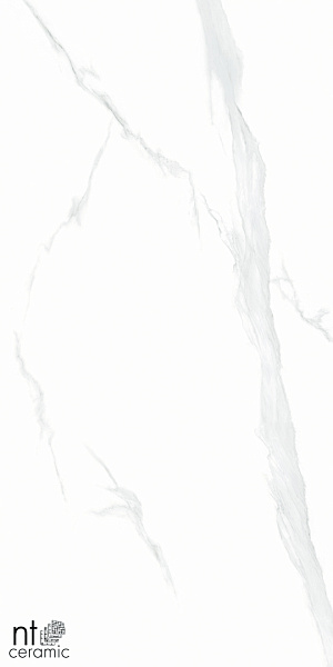 Керамогранит NT Ceramic Bright and Shiny Statuario 60x120