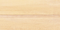 Плитка AltaCera Briole Wood WT9BRE11 249x500
