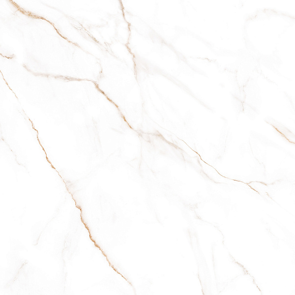 Керамогранит Alma Ceramica Neo Calacatta GFU04NCL04R матовый 60x60