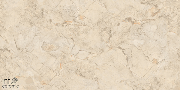 Керамогранит NT Ceramic Marmo Ivory Endless 60x60