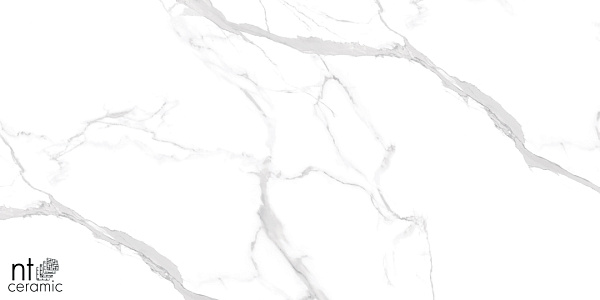 Керамогранит NT Ceramic Marmo Statuario Ultra White 60x120