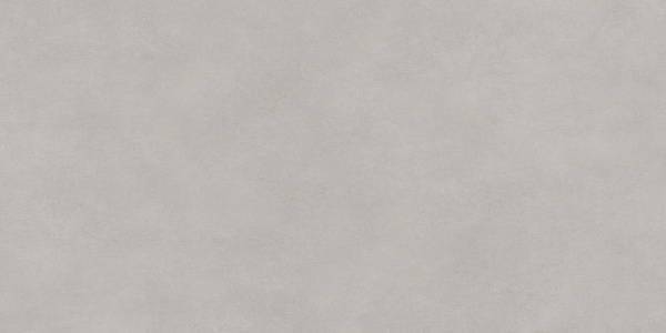 Керамогранит Delacora Life Cement Gray матовый 60x120