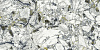 Керамогранит Atlas Concorde Forte Dei Marmi Quark Ceppi Apuani Forest matt 80x160