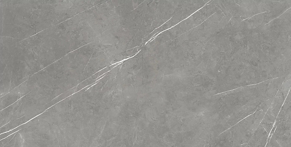 Керамогранит Atlas Concorde Forte Dei Marmi Elegant Grey matt 80x160