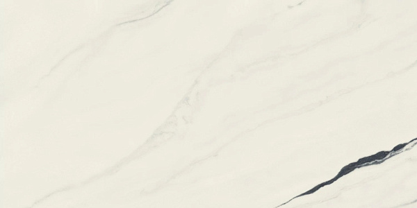Керамогранит Atlas Concorde Forte Dei Marmi Panda White cerato 60x120