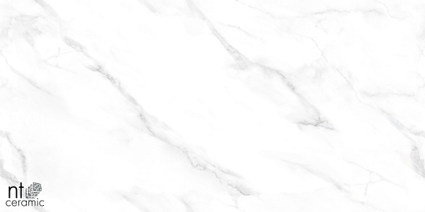Керамогранит NT Ceramic Marmo Statuario Endless matt 60x60